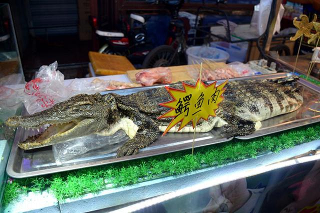沈阳现鳄鱼肉烤串 每串20元引市民围观