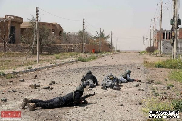 伊拉克防长：大批IS指挥官变卖家产携家人逃往叙利亚
