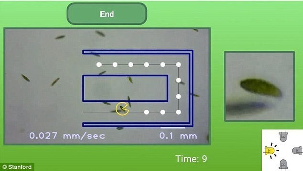 码报:【j2开奖】“调教”微生物的手机显微镜,玩吃豆人会踢足球