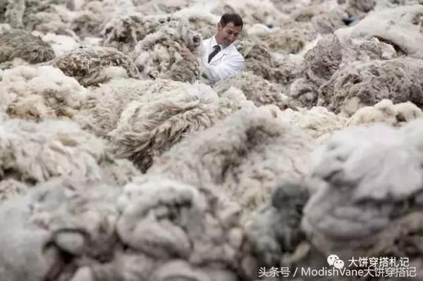 wzatv:你的羊毛、羊绒都是真的吗？会买不会穿也白瞎