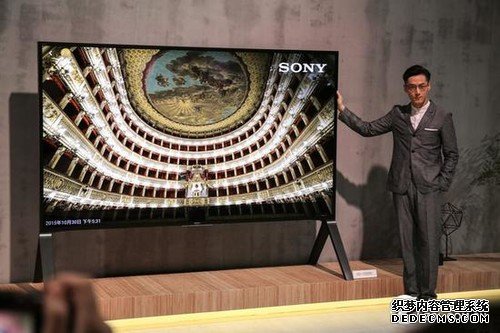 使用LGD面板！索尼将推大尺寸OLED电视