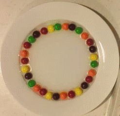 【j2开奖】糖豆一秒就能变彩虹？玉米淀粉竟然会跳舞？教你一招变酷炫！