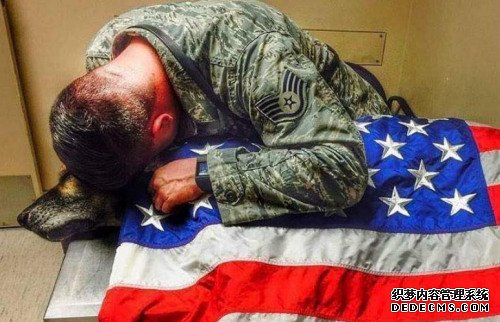 永远不会忘记它：美军人与狗狗作战6年 守护其离世
