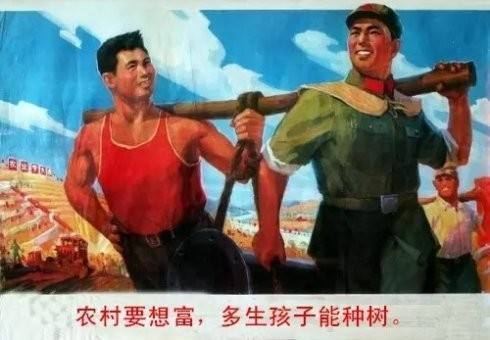 报码:【j2开奖】漫天飞絮让你窒息的杨树，其实在40年前救了北京