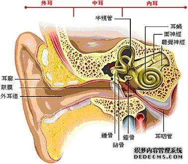 军医科普：化脓性中耳炎的基本知识