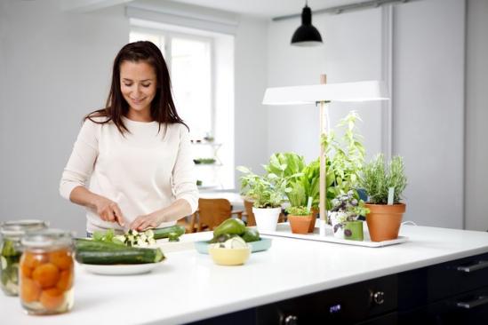 设计师琳达（Linda Bergroth）为荷兰制造商Kekkilä创建了绿植台灯（Green Light），这是一款强大而美丽的植物生长灯，专为室内园艺种植而设计。绿植台灯一方面可以点亮厨房柜台；另一方面，通过对灯管高度的调整，哪怕是在寒冷的冬天，温暖的灯光也能帮助草本植物、豆芽或蔬菜在室内茁壮成长，而宽阔的托盘则能收集多余的灌溉水分，保持桌面的干燥和洁净。