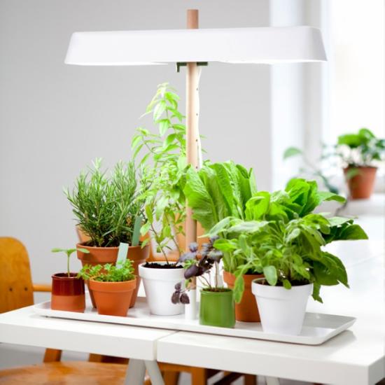 设计师琳达（Linda Bergroth）为荷兰制造商Kekkilä创建了绿植台灯（Green Light），这是一款强大而美丽的植物生长灯，专为室内园艺种植而设计。绿植台灯一方面可以点亮厨房柜台；另一方面，通过对灯管高度的调整，哪怕是在寒冷的冬天，温暖的灯光也能帮助草本植物、豆芽或蔬菜在室内茁壮成长，而宽阔的托盘则能收集多余的灌溉水分，保持桌面的干燥和洁净。