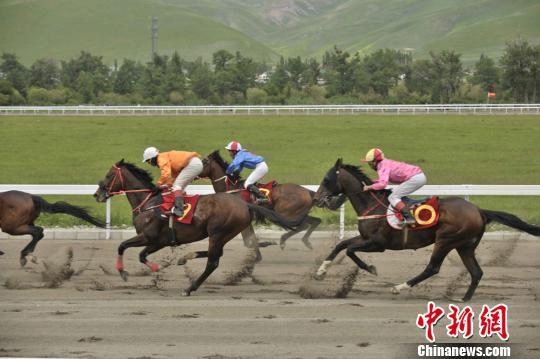 2016中国速度赛马大奖赛那拉提站将于6月开赛 