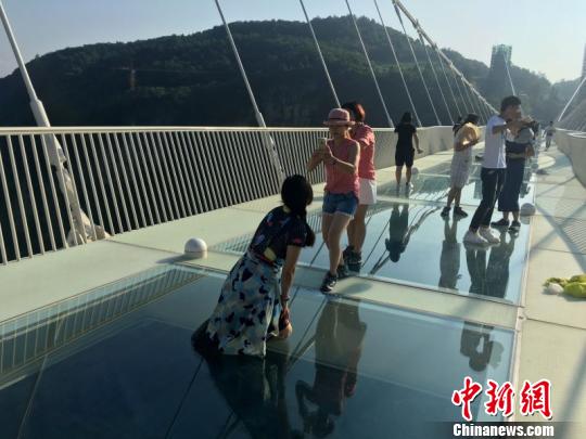 游客在玻璃桥上拍照。 罗克文 摄