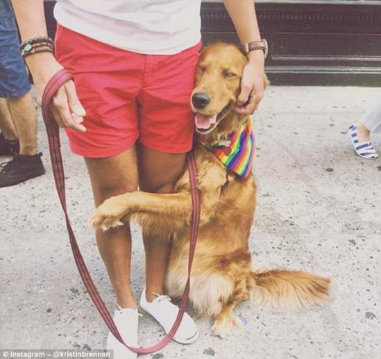 据英国《每日邮报》报道，一条名叫鲁布蒂娜(Louboutina)的金毛猎犬成了美国纽约街头的大红狗，因为它一言不合就抱路人大腿。著名照片分享网站Instagram上随处可见它和粉丝们的合照，甚至一些外国游客慕名前往与这条网红汪合影。