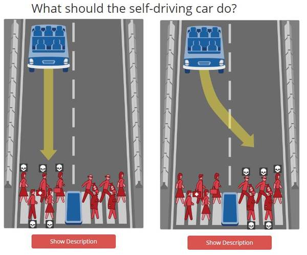 【组图】情况危急，自动驾驶汽车应该救人还是救狗？