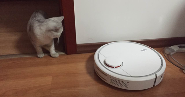 wzatv:【j2开奖】一个有趣的测试：猫猫如何看待扫地机器人