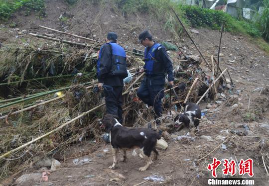 图为公安警犬搜救队在河边搜寻小媛。 文成警方供图