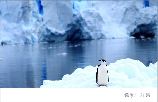 报码:【j2开奖】刘润：此生，你一定要去一次南极