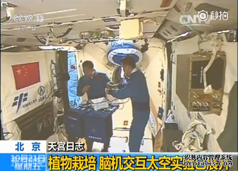 中国宇航员要在太空种生菜 不知味道如何