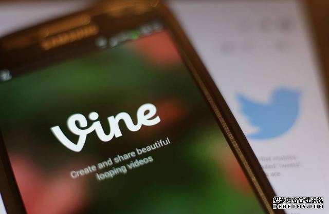内忧外患！Twitter宣布关闭Vine短视频服务 