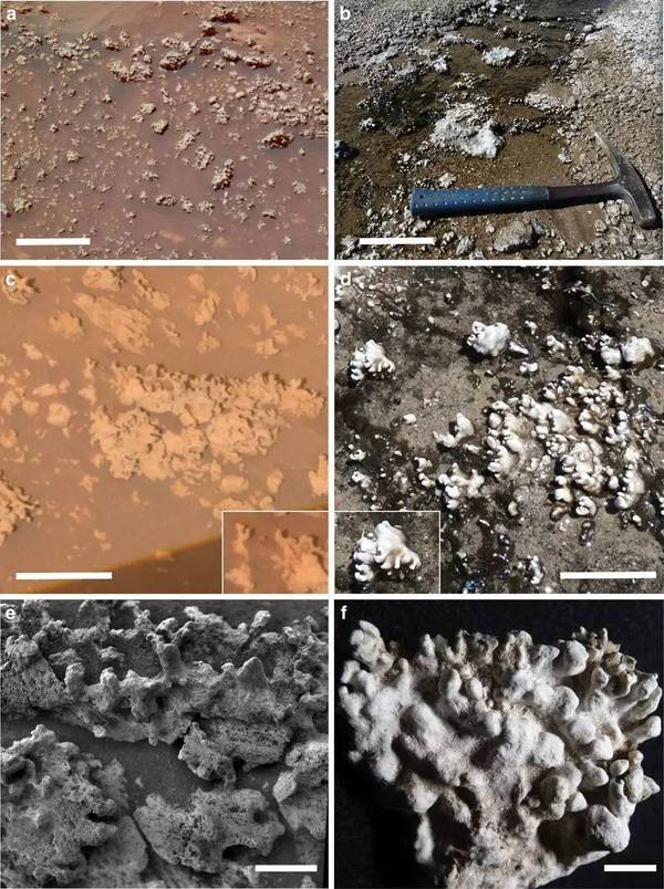 码报:【j2开奖】勇气号立功了 可能找到了火星生物的遗迹