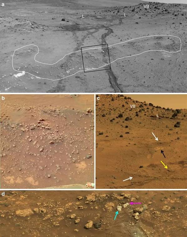 码报:【j2开奖】勇气号立功了 可能找到了火星生物的遗迹