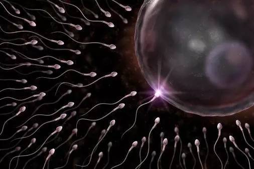 码报:【图】模仿“精子的尾巴”，人类可能实现制造人工细胞梦想