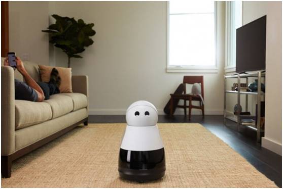 码报:【j2开奖】软萌已成智能家居标配，Bosch旗下公司发布Kuri机器人
