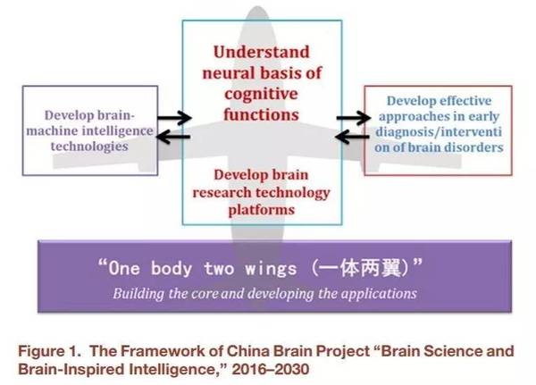 报码:【j2开奖】演讲 | 中科院徐波：中国脑计划的现状和发展方向