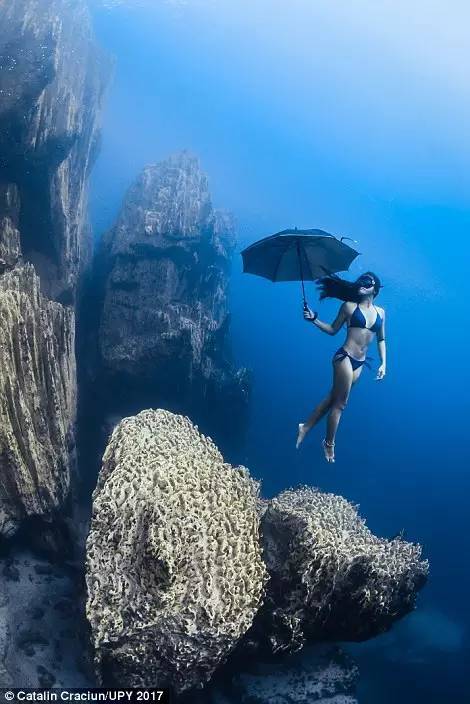 【j2开奖】恐怖与壮美：16张最动人心魄的水下摄影作品