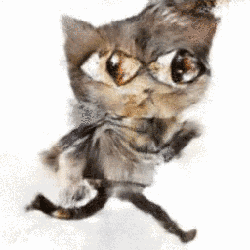 【j2开奖】教程 | 你来手绘涂鸦，人工智能生成「猫片」：edges2cats图像转换详解