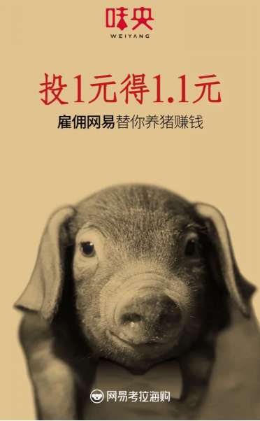 码报:【j2开奖】1元养猪赚钱！网易考拉上线全民养猪众筹