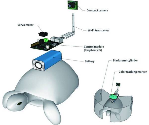 码报:【j2开奖】前沿 | 真实版《阿凡达》：韩国研究者用脑机接口控制乌龟