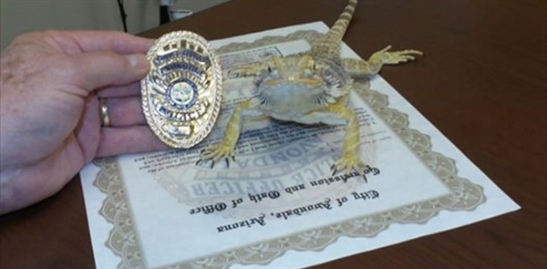 wzatv:【j2开奖】蜥蜴正式成为美国警方一员 负责侦查毒品