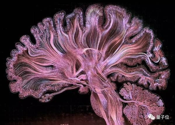 码报:【j2开奖】深度解密马斯克NeuraLink：释放人脑全部潜能，不只做神经织网