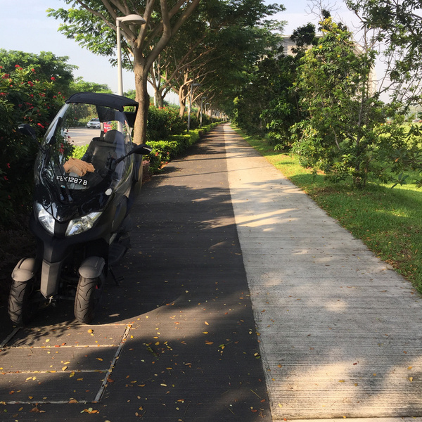 【j2开奖】我们去了趟新加坡，发现共享单车不仅车子少的可怜，也压根没人骑