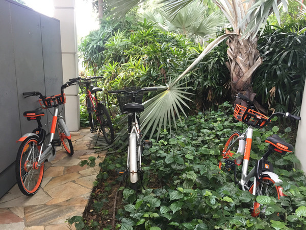 码报:【j2开奖】我们去了趟新加坡，发现共享单车不仅少，也压根没人骑